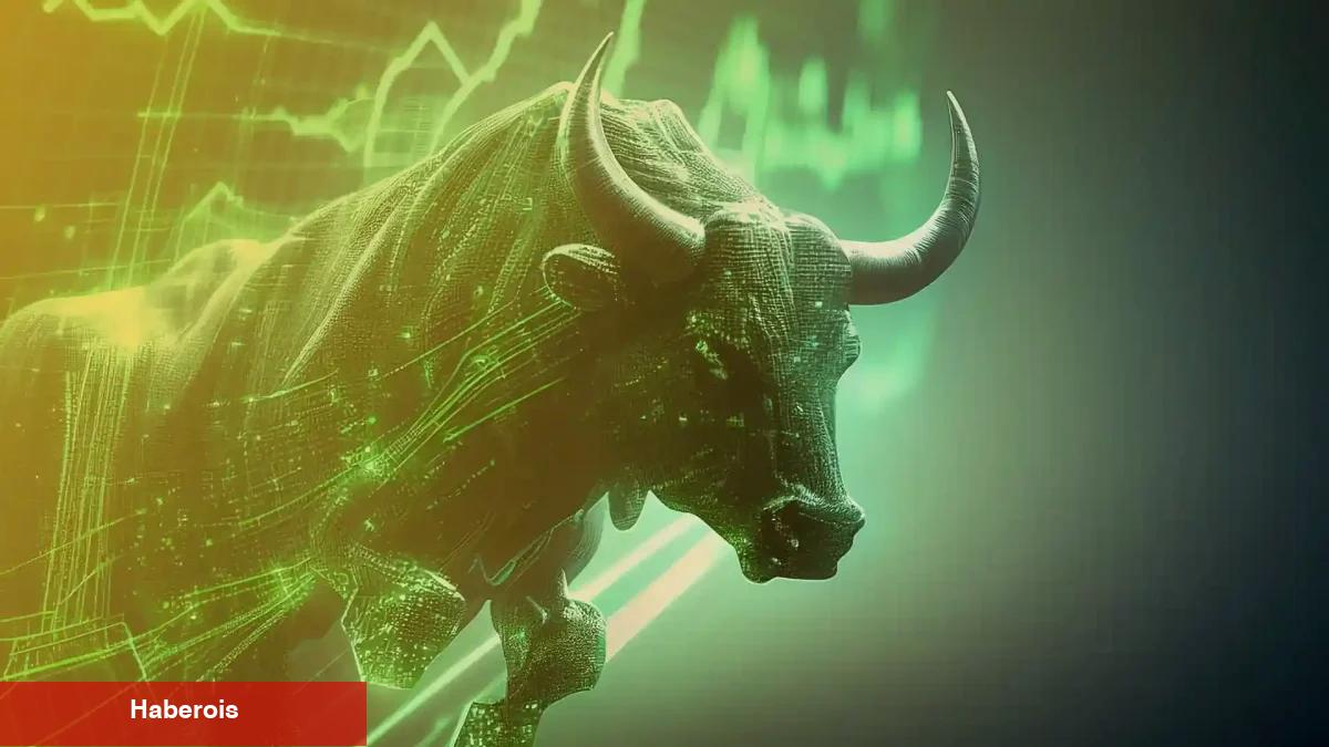 Nam Salan Analist Açıkladı! 6 Altcoin Sonraki Boğa Adayları