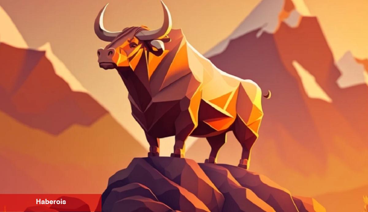 Nam Salan Analist Açıkladı! 6 Altcoin Sonraki Boğa Adayları