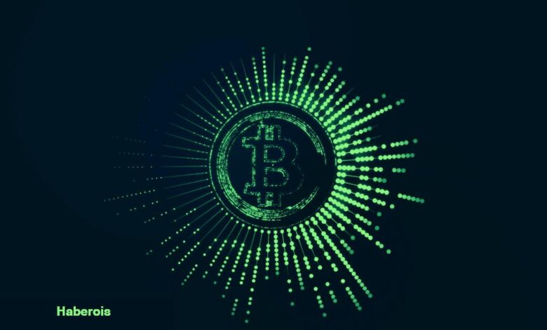 Nam Salan Analistler Tarih Bile Verdi: Bitcoin Çakılabilir! - Haberois Nam Salan Analistler Tarih Bile Verdi: Bitcoin Çakılabilir!