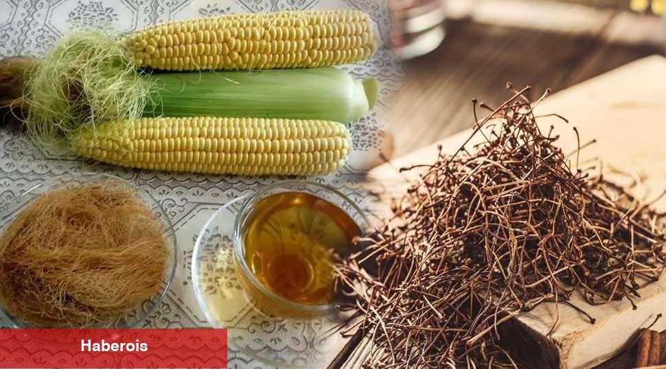 Ödemsavar detoks suyu tarifi! Acil kilo vermek isteyenler kesinlikle deneyin