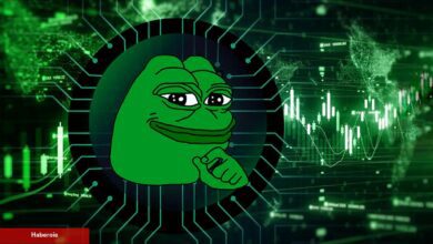 PEPE Takımından Sevindiren Haber: Token Burn Geliyor!