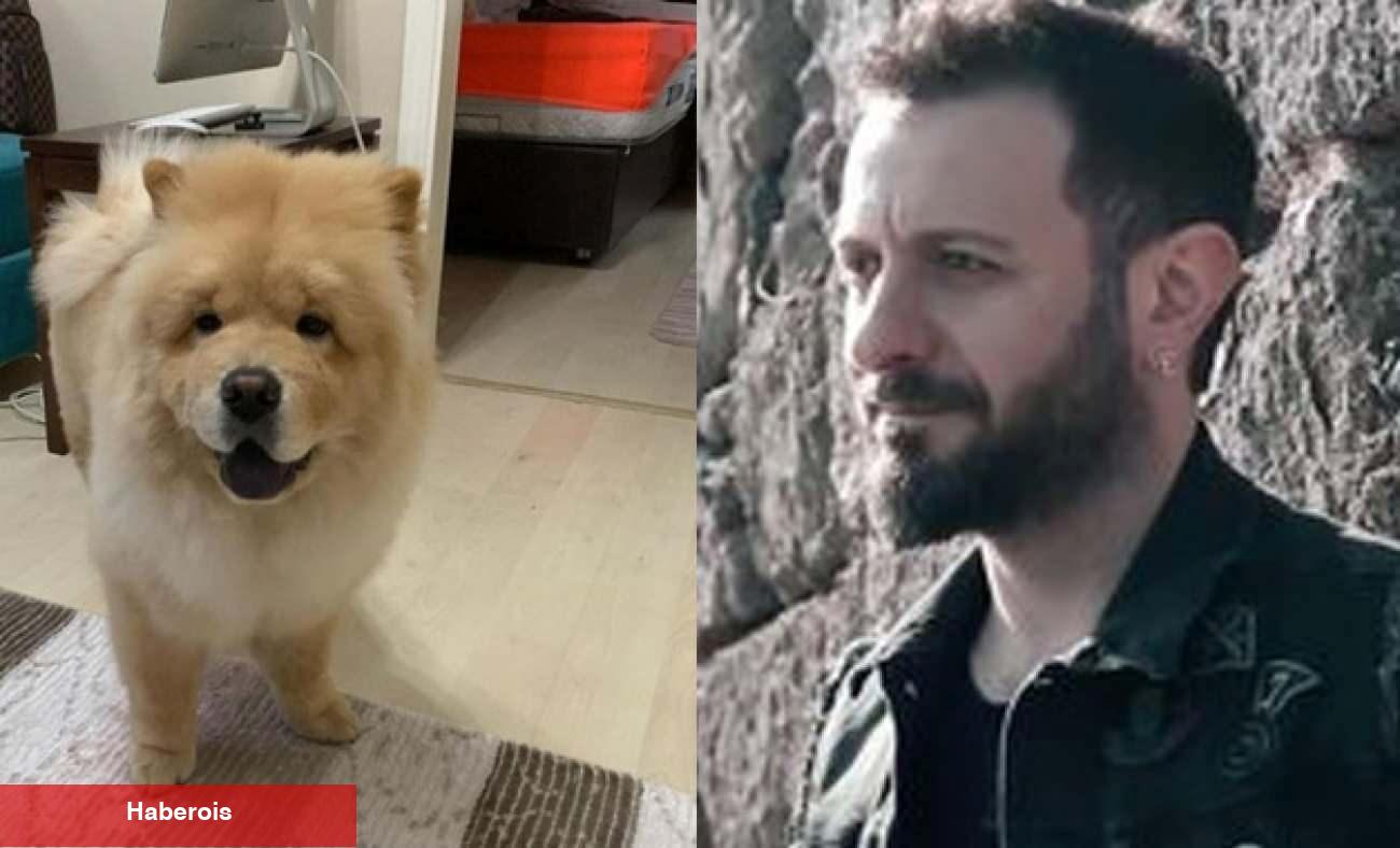Restoranda köpek dehşeti! Çin Aslanı ünlü müzikçi Ali Kal’ın kulağını kopardı