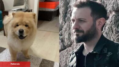 Restoranda köpek dehşeti! Çin Aslanı ünlü müzikçi Ali Kal’ın kulağını kopardı