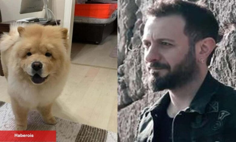 Restoranda köpek dehşeti! Çin Aslanı ünlü müzikçi Ali Kal’ın kulağını kopardı - Haberois Restoranda köpek dehşeti! Çin Aslanı ünlü müzikçi Ali Kal’ın kulağını kopardı