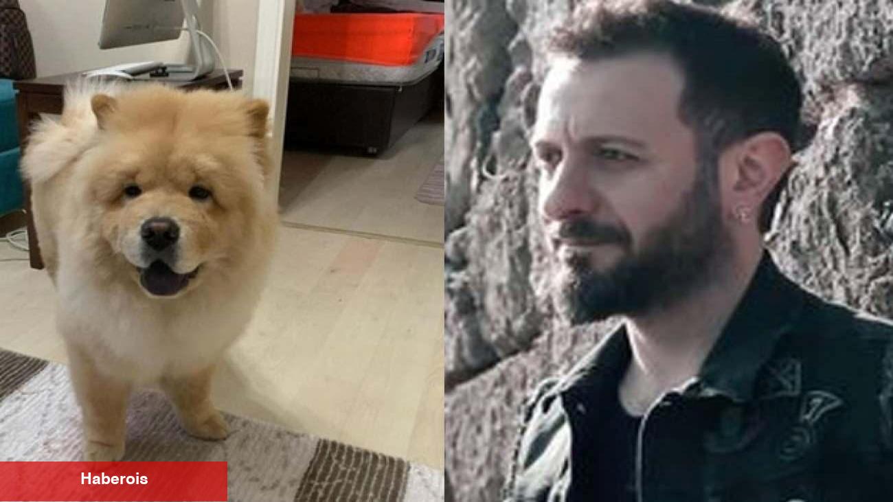 Restoranda köpek dehşeti! Çin Aslanı ünlü müzikçi Ali Kal’ın kulağını kopardı