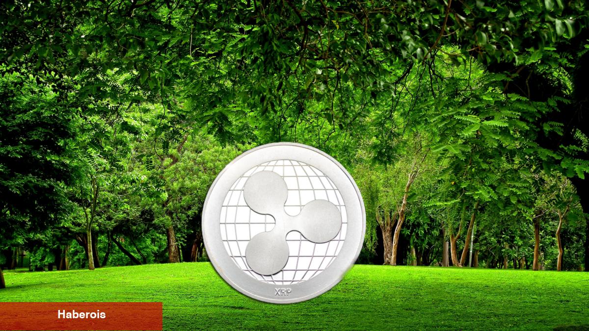 Ripple, Maksimalistleri Haklı Çıkarabilir! Bir Eşik Daha Aşıldı - Haberois Ripple, Maksimalistleri Haklı Çıkarabilir! Bir Eşik Daha Aşıldı
