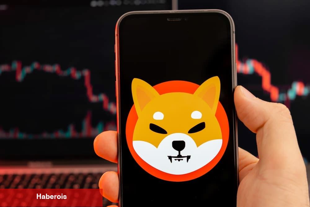 Ripple ve Bu 2 Altcoin İçin Güçlü Tahmin! Rallinin İzleri