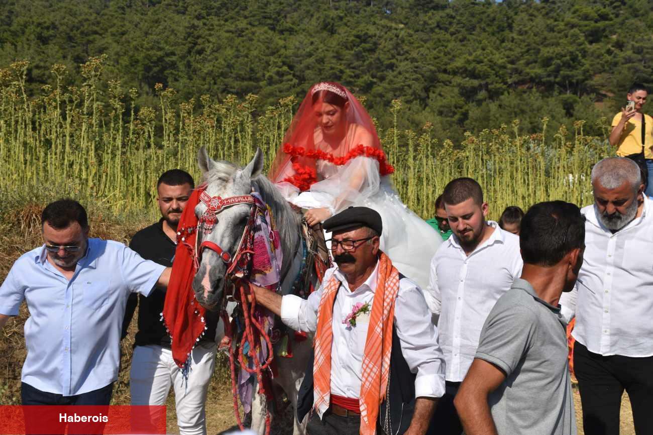 Sahibiyle harmandanlı oynayan at toplumsal medyada gündem oldu!
