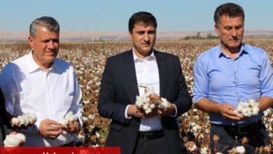 Şanlıurfa'dan TMO alım politikalarına eleştiri