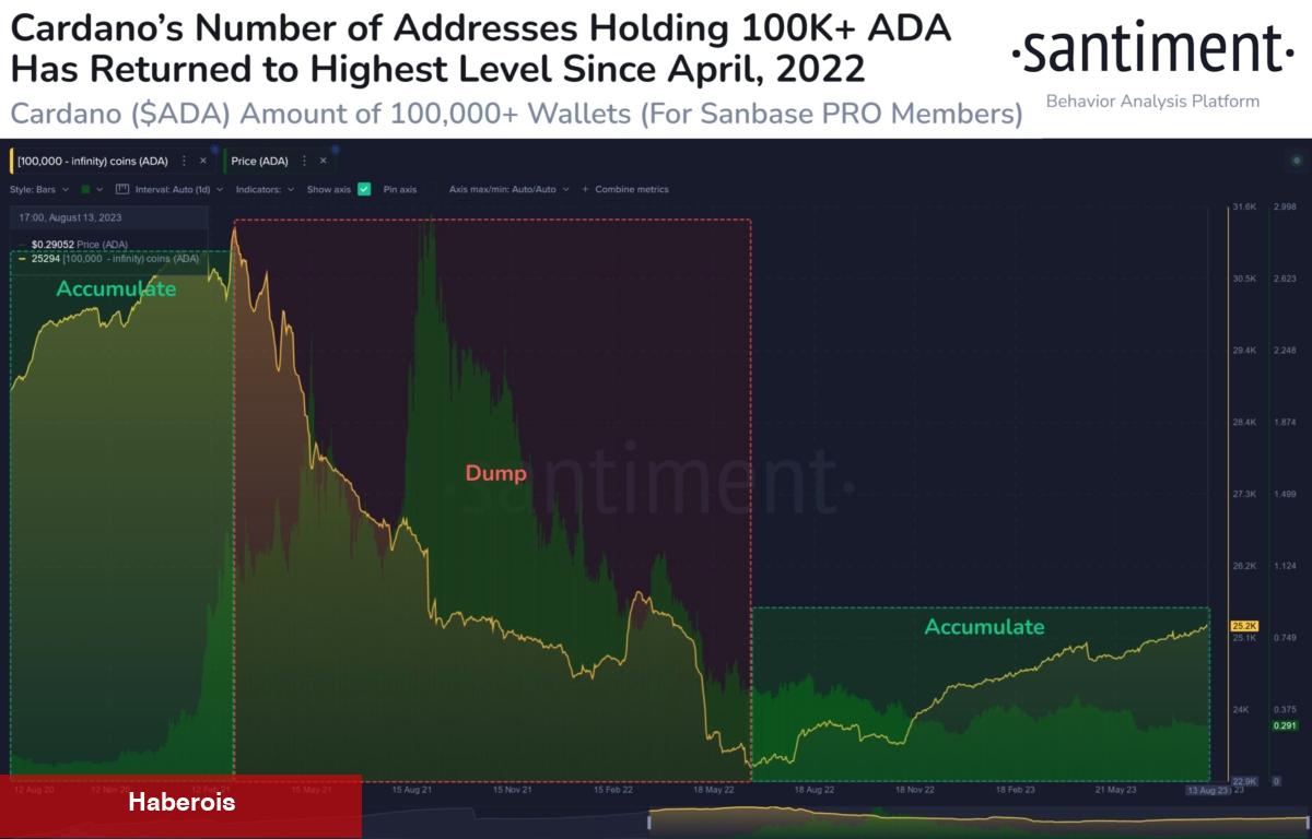 Santiment: İzleyin! Bu 6 Altcoin Balinaların Odağında!