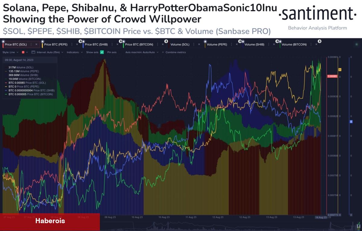 Santiment: İzleyin! Bu 6 Altcoin Balinaların Odağında!