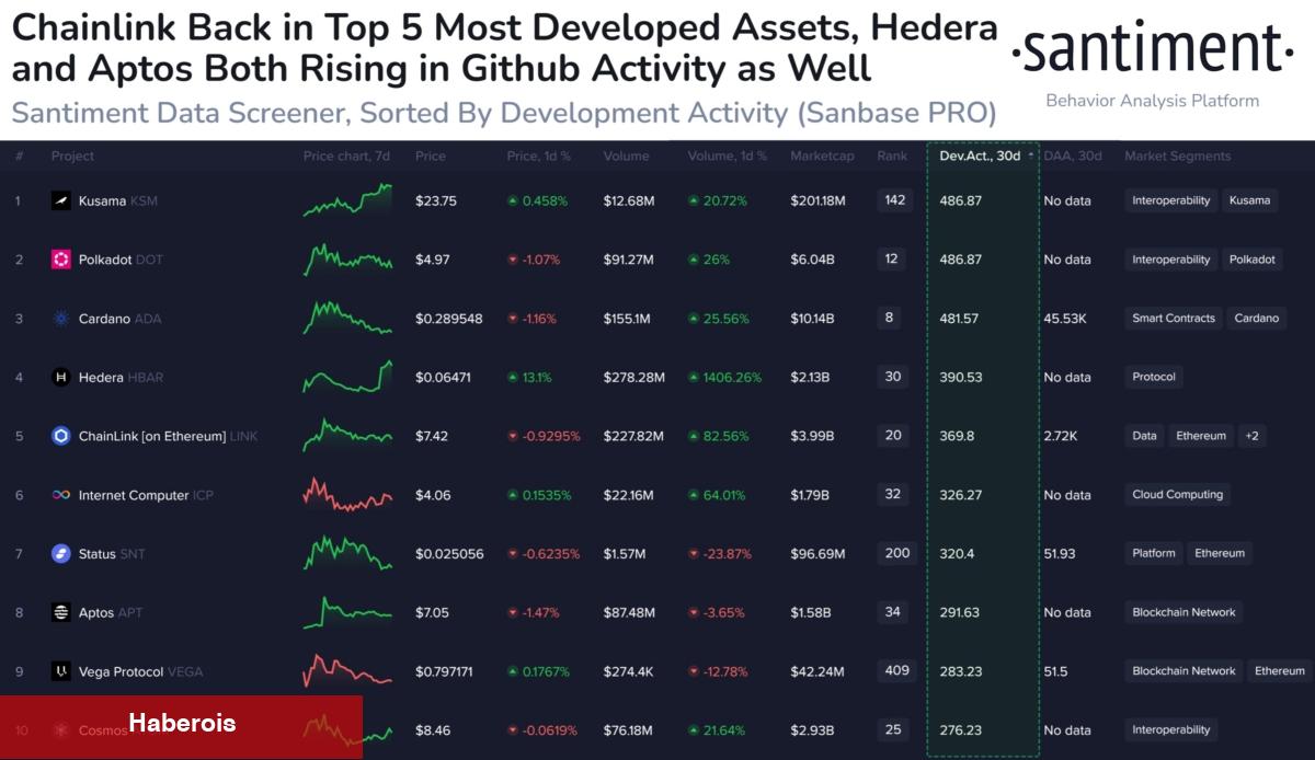 Santiment: İzleyin! Bu 6 Altcoin Balinaların Odağında!