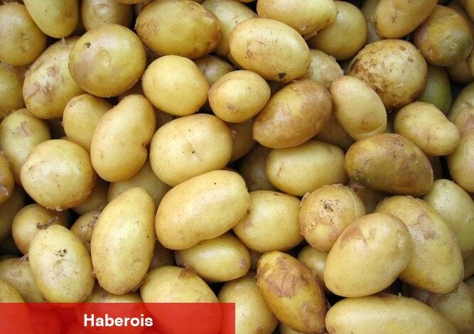 Şeker Hastalarına Patates Uyarısı ! - Haberois Şeker Hastalarına Patates Uyarısı !