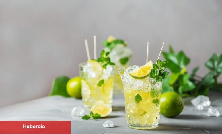 Serinletici soğuk çay tanımları - Haberois Serinletici soğuk çay tanımları