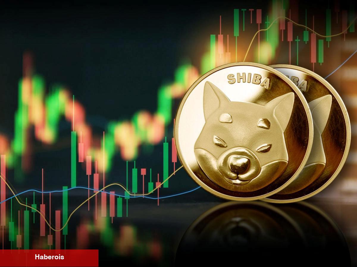 Shiba Inu Beklenen Duyuruyu Yaptı! Çok Yakında Açılıyor