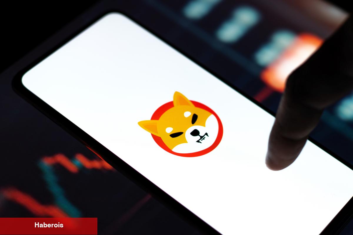 Shiba Inu İçin Şaşırtan Gelişme! Risk Artıyor - Haberois Shiba Inu İçin Şaşırtan Gelişme! Risk Artıyor