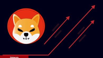 Shiba Inu İçin Şaşırtan Gelişme! Risk Artıyor
