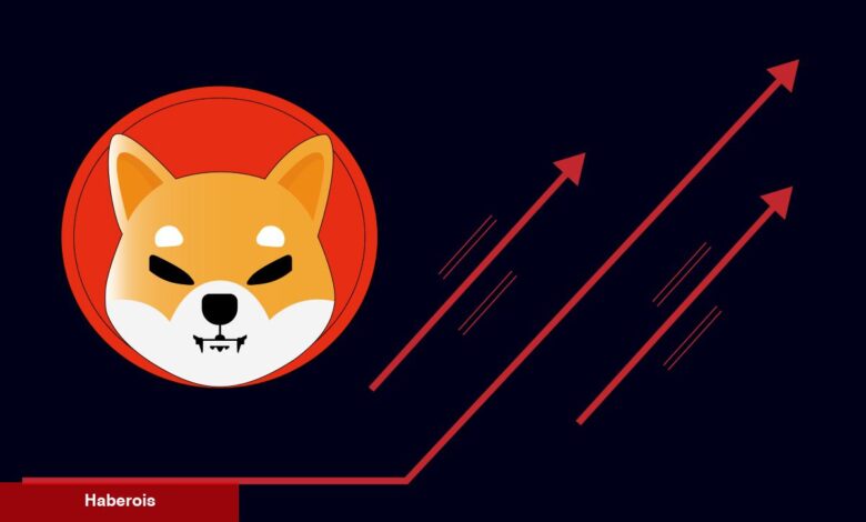 Shiba Inu İçin Şaşırtan Gelişme! Risk Artıyor - Haberois Shiba Inu İçin Şaşırtan Gelişme! Risk Artıyor