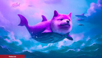 Shibarium Sonrası Shiba Inu Balinaları Harekete Geçti!
