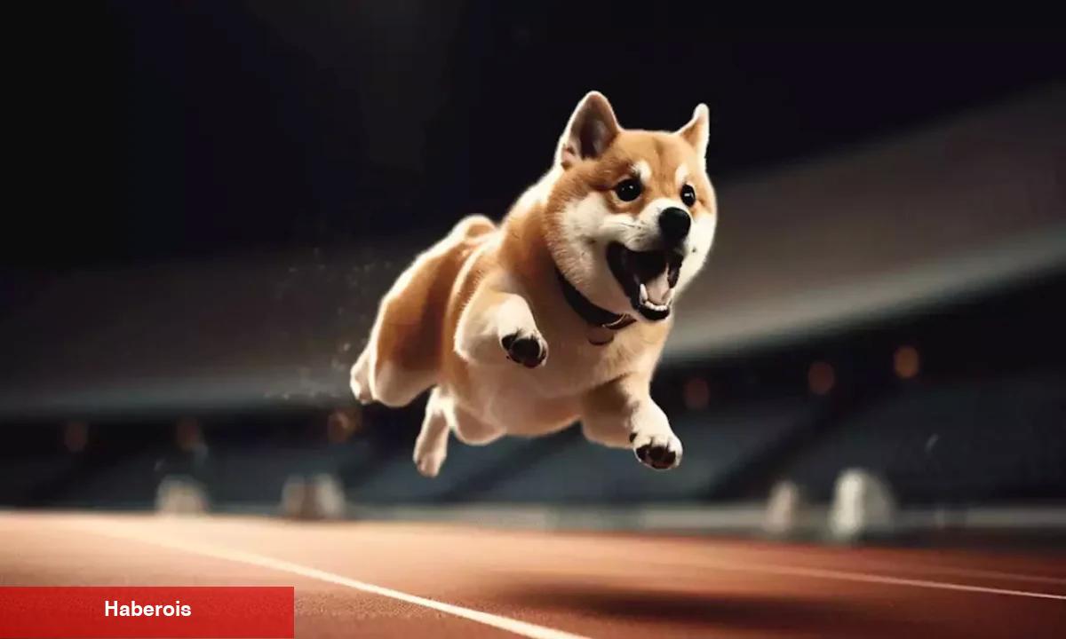 Takımın Değerli Güncellemelerinin Akabinde Bu Altcoin Fiyatı Sıçradı!
