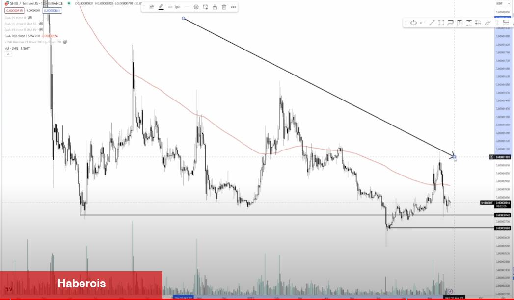 Tanınan Analistten Bu 2 Altcoin İçin ‘Bekle ve Gör’ Uyarısı Geldi!