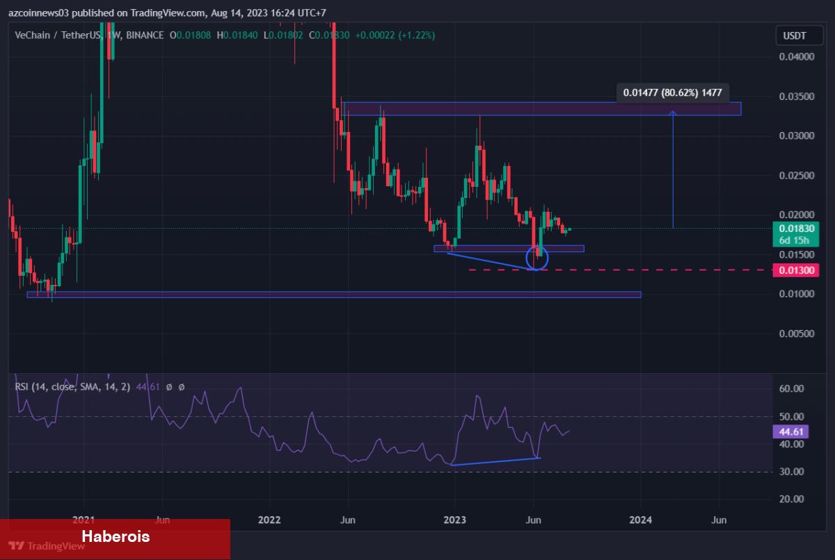 Tarih Bile Verildi: Bu 5 Altcoin Yıldırım Suratında Artabilir!