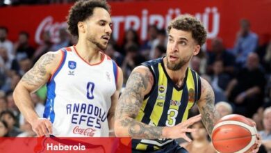 TBF'den Wilbekin ve Larkin'e 5 'er maç ceza