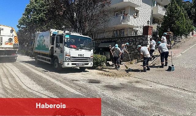 Temiz çevre, tertemiz Nilüfer - Haberois Temiz çevre, tertemiz Nilüfer