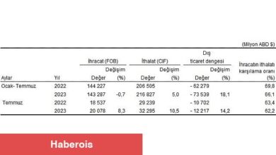 Temmuz ayında genel ticaret sistemine göre ihracat yüzde 8,3, ithalat yüzde 10,5 arttı