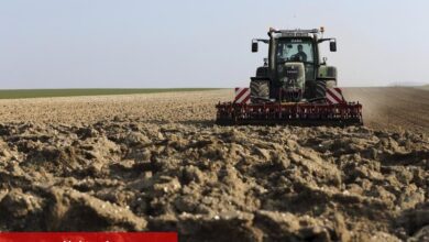 TÜİK açıkladı: Tarımsal girdi enflasyonu düşmeye devam ediyor