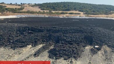 Turizm bölgesinde olumsuz görüntüler... Koku dayanılacak gibi değil!