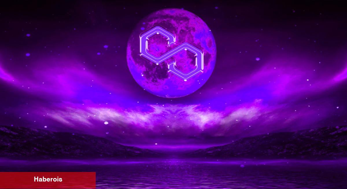 Türklerin Sepetindeki Altcoin, Güney Kore Deviyle Ortak Oldu!