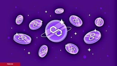 Türklerin Sepetindeki Altcoin, Güney Kore Deviyle Ortak Oldu!