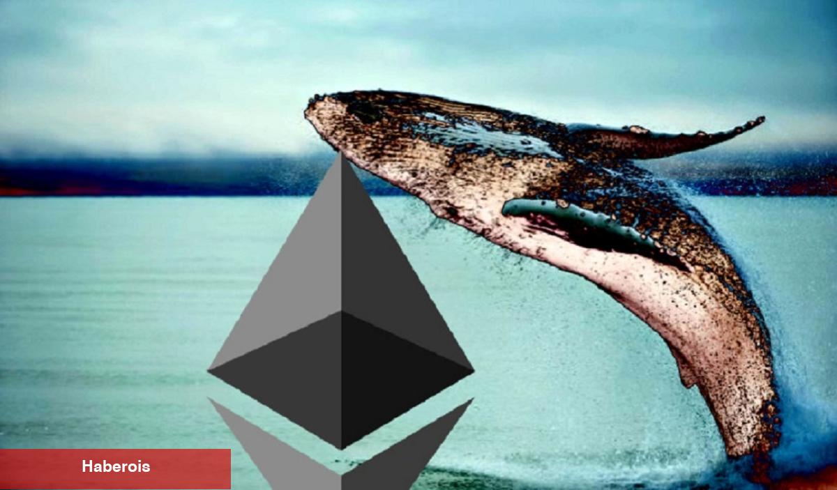 Uçuşa Hazırlanın! Bu Altcoin Süratli Büyüyor - Haberois Uçuşa Hazırlanın! Bu Altcoin Süratli Büyüyor