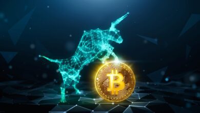 Ünlü Analist Bitcoin Boğa Döneminin İpuçlarını Açıkladı