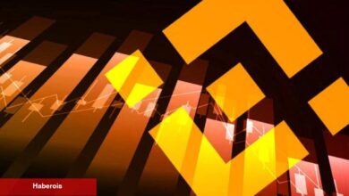 Ünlü Balina Harekete Geçti: Binance’e Milyonluk Transfer!