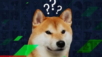 Yapay Zekadan SHIB, DOGE ve XLM İçin Kritik Tahminler!