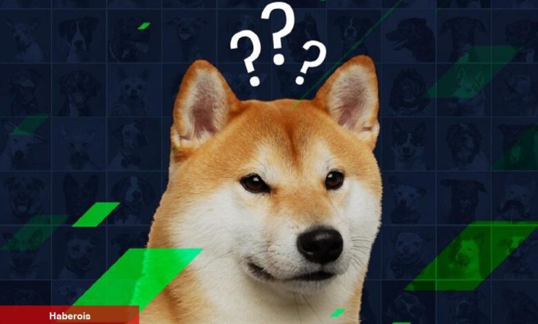 Yapay Zekadan SHIB, DOGE ve XLM İçin Kritik Tahminler! - Haberois Yapay Zekadan SHIB, DOGE ve XLM İçin Kritik Tahminler!