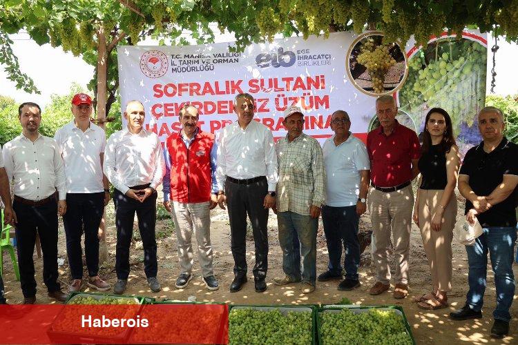 Yaş üzümde 200 milyon dolar aşılacak