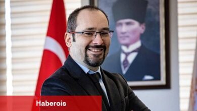Yaz Alerjileri Tatilinizi Kabusa Çevirmesin