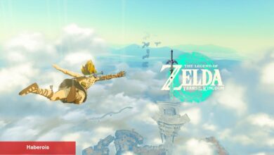Zelda, 18,5 Milyon Adetlik Satışla Switch için Çeyrek Rekor Kırdı