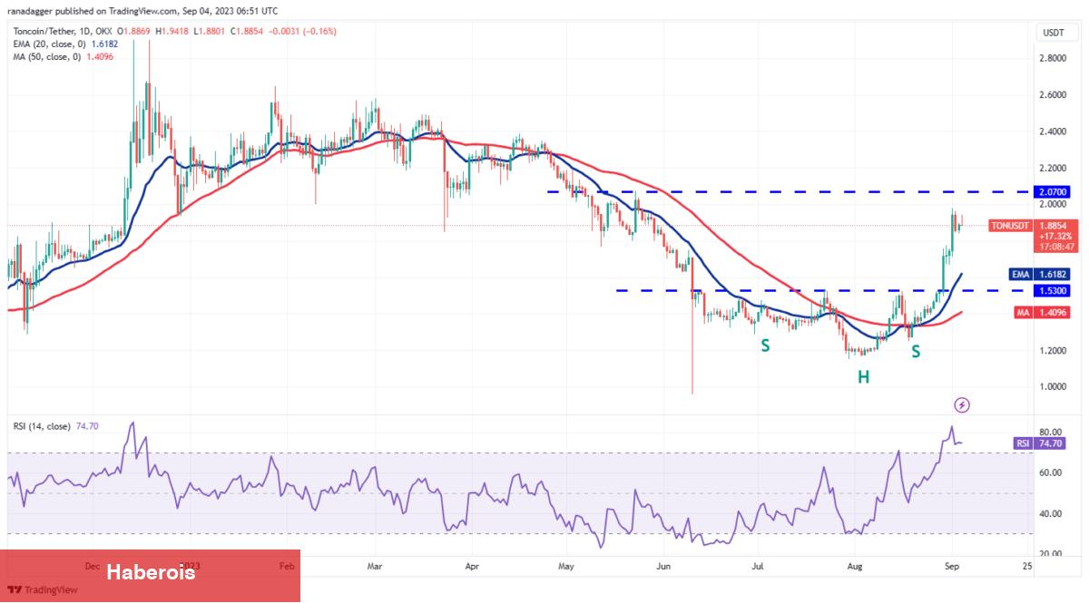 Analist, Bu Hafta Yükselişe Hazır 4 Altcoin’i Açıkladı: İşte Kritik Seviyeler! - Haberois Analist, Bu Hafta Yükselişe Hazır 4 Altcoin’i Açıkladı: İşte Kritik Seviyeler!