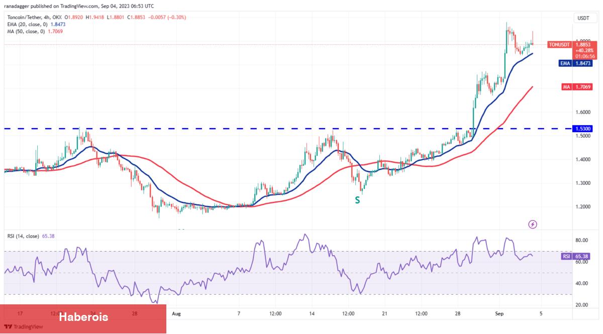Analist, Bu Hafta Yükselişe Hazır 4 Altcoin’i Açıkladı: İşte Kritik Seviyeler! - Haberois Analist, Bu Hafta Yükselişe Hazır 4 Altcoin’i Açıkladı: İşte Kritik Seviyeler!