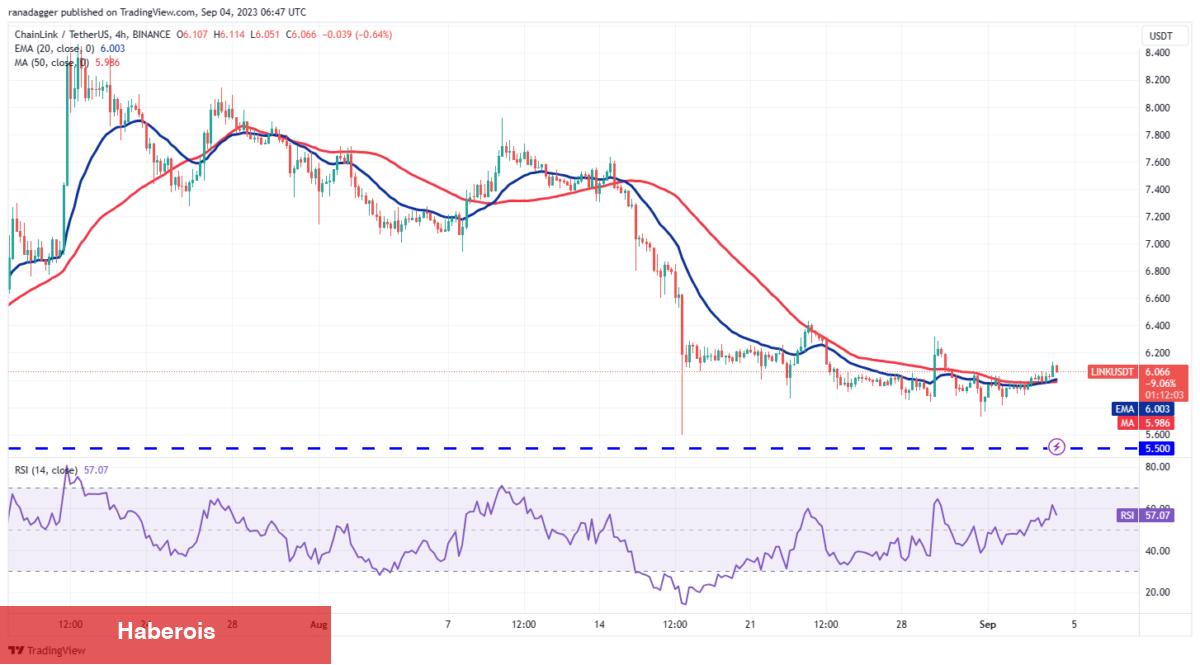 Analist, Bu Hafta Yükselişe Hazır 4 Altcoin’i Açıkladı: İşte Kritik Seviyeler! - Haberois Analist, Bu Hafta Yükselişe Hazır 4 Altcoin’i Açıkladı: İşte Kritik Seviyeler!