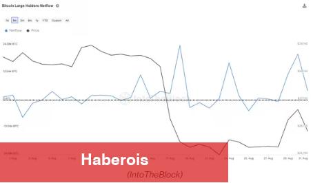 Balinalar Çılgınca Satıyor! Bu Altcoin Tabanlara Sürükleniyor - Haberois Balinalar Çılgınca Satıyor! Bu Altcoin Tabanlara Sürükleniyor