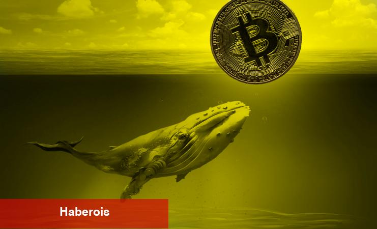 Balinalardan Milyarlık Altcoin Hareketleri! Bu 2 Kriptoya Dikkat