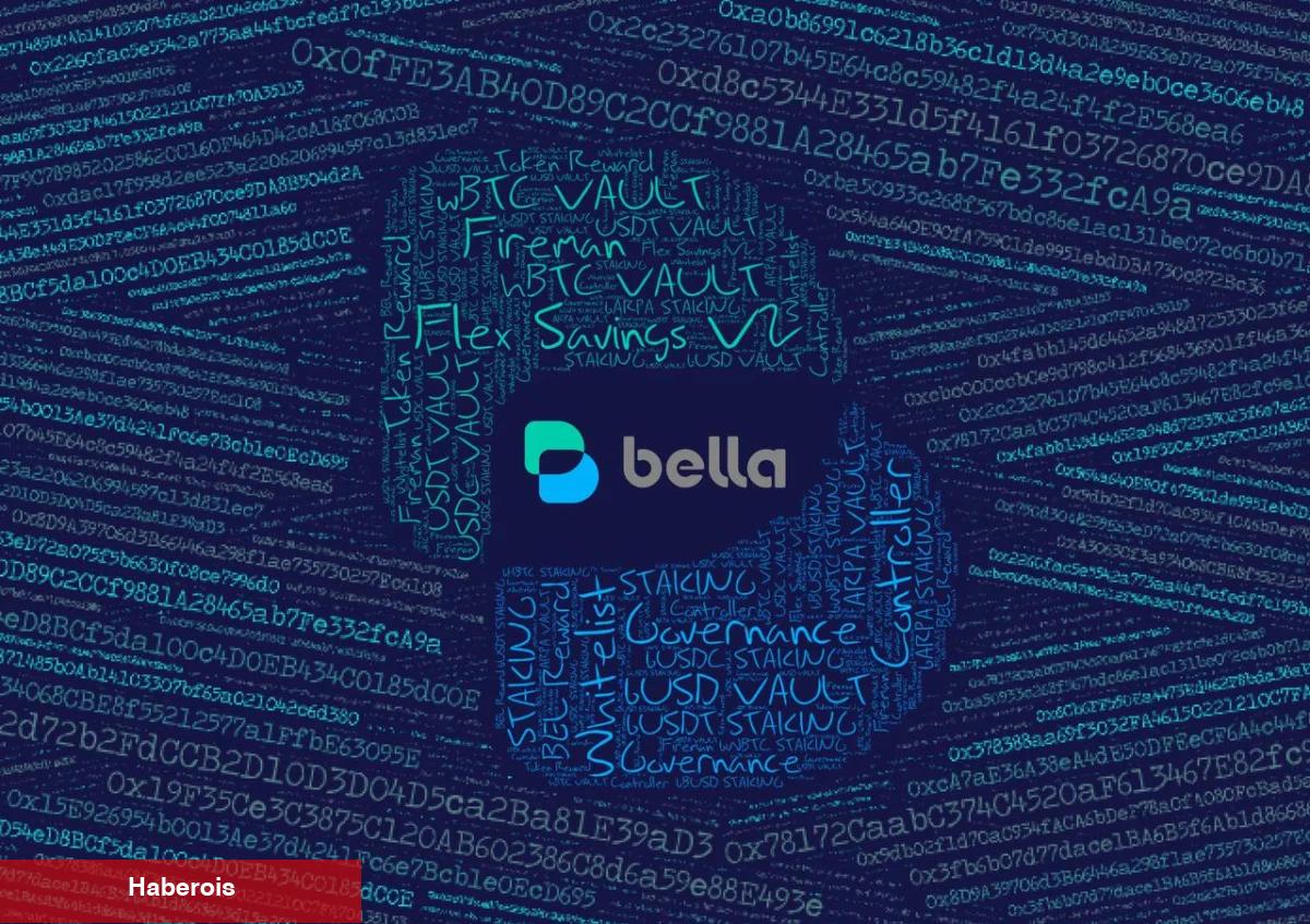 Binance Listeli Bu Altcoin Balina Hareketiyle Sert Yükseldi!