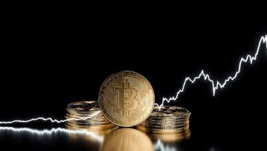 Bitcoin İçin Kıymetli Rekor: 48 Milyonu Aştı…