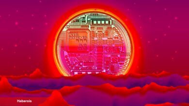 Bu 4 Altcoin Yatırımcısı Sular Altında! Ufukta Bir Umut Var mı?