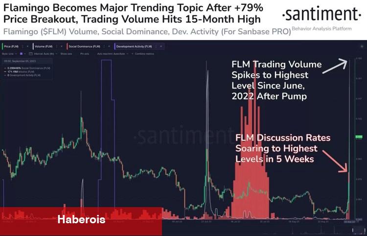 Bu 8 Altcoin İçin Sıcak Gelişmeler Var! Balinalar da Faal